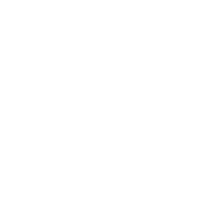Domiswiss